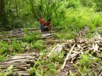 Firewood Cutter (128 KB)