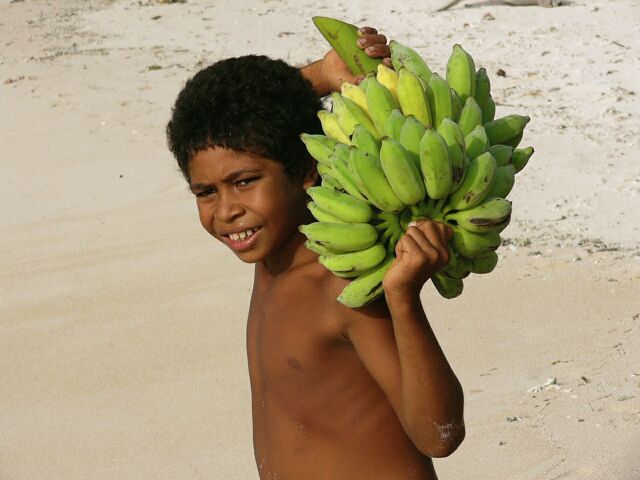 sugar bananas