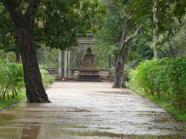 Buddha