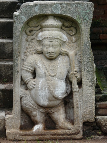 dwarf