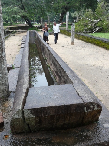 rice-trough
