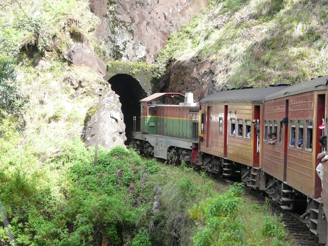 train
