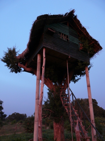 treehouse