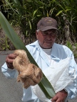Flax (118 KB)