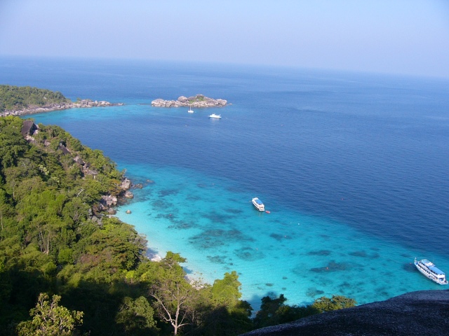 view