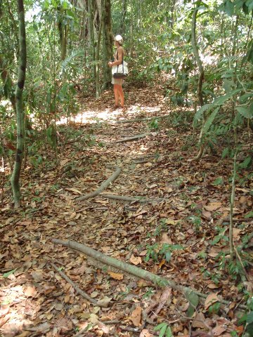 trail