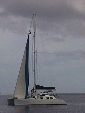 Max up mast