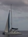 Max up mast (43 KB)