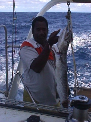 Barracuda