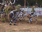 snake dance (77 KB)