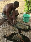 Mixing Kava (82 KB)