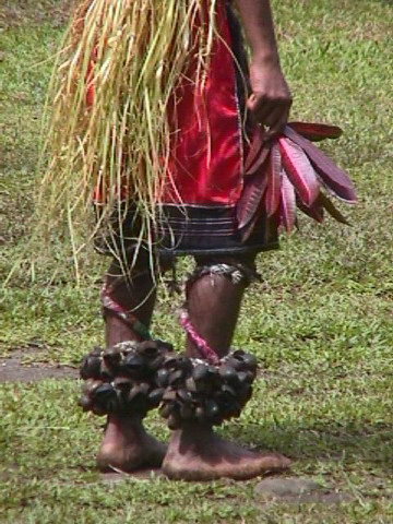 Nalaka Seeds