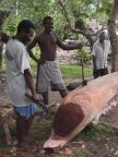 Log for Canoe (65 KB)
