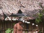Sailfish (85 KB)