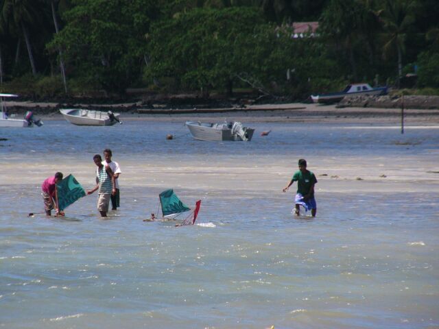 Kids Sailing