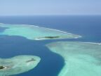 Reef (27 KB)